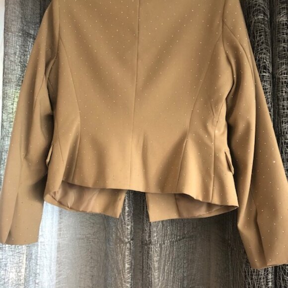 BNWT ZARA Beige Gold Sparkle Blazer – Size L – New with Tags - Picture 3 of 4